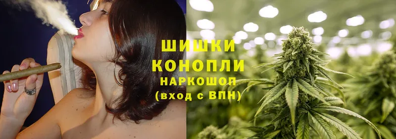 магазин продажи наркотиков  Новозыбков  Бошки Шишки OG Kush 